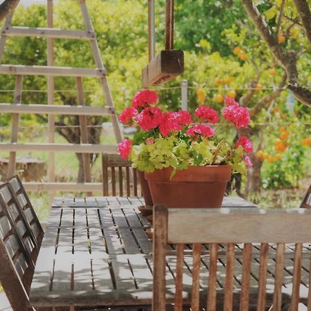 Ca'N Guiri, Eco Finca In Mallorca Campanet Bagian luar foto