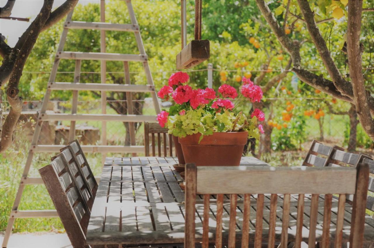 Ca'N Guiri, Eco Finca In Mallorca Campanet Bagian luar foto